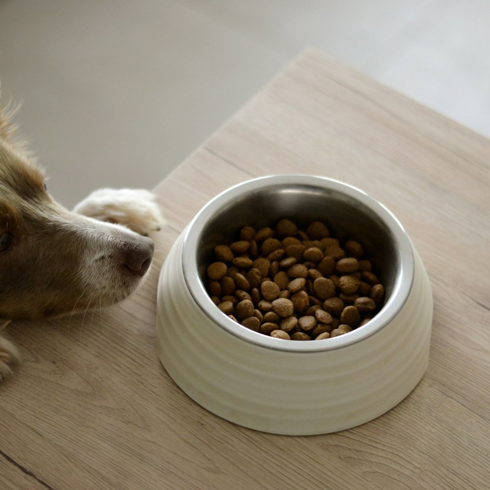 Stoneware Bowl