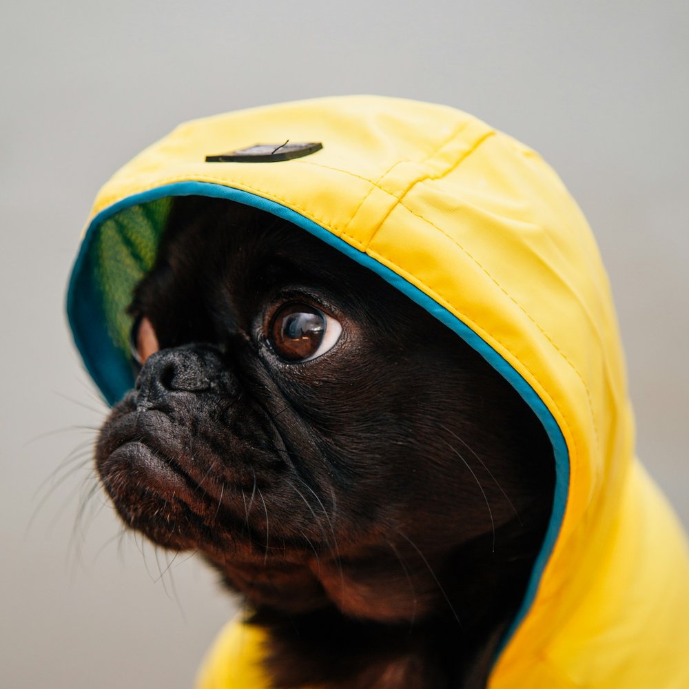 Weekend Rain Coat