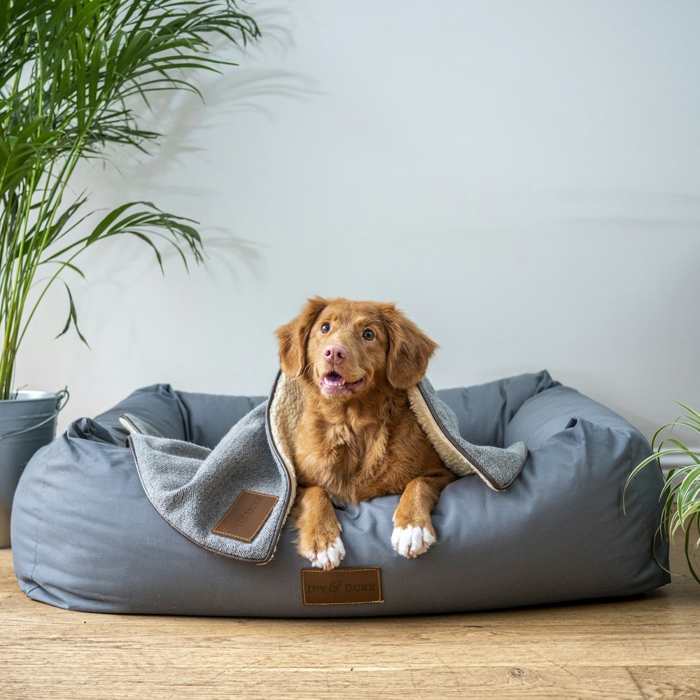 Harbour Memory Foam Bed
